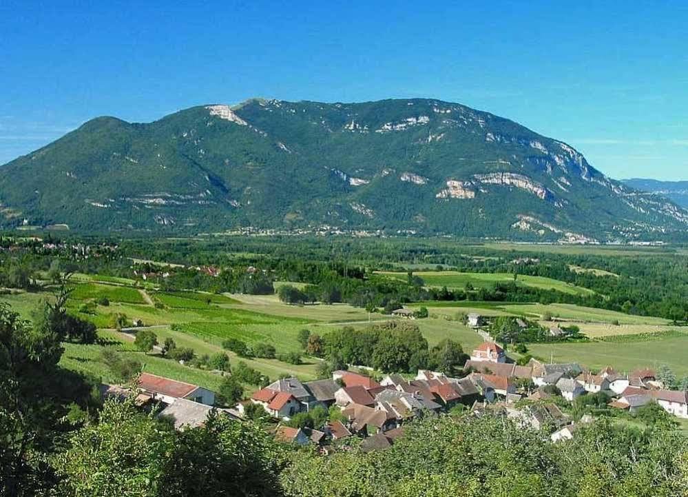 Sweet Home بيلي المظهر الخارجي الصورة